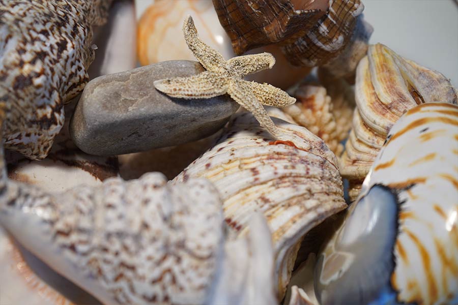 gunvor-videsen-psykoterapeut-klinik-22 Gunvor Vidensen psykoterapeutisk behandling af angst